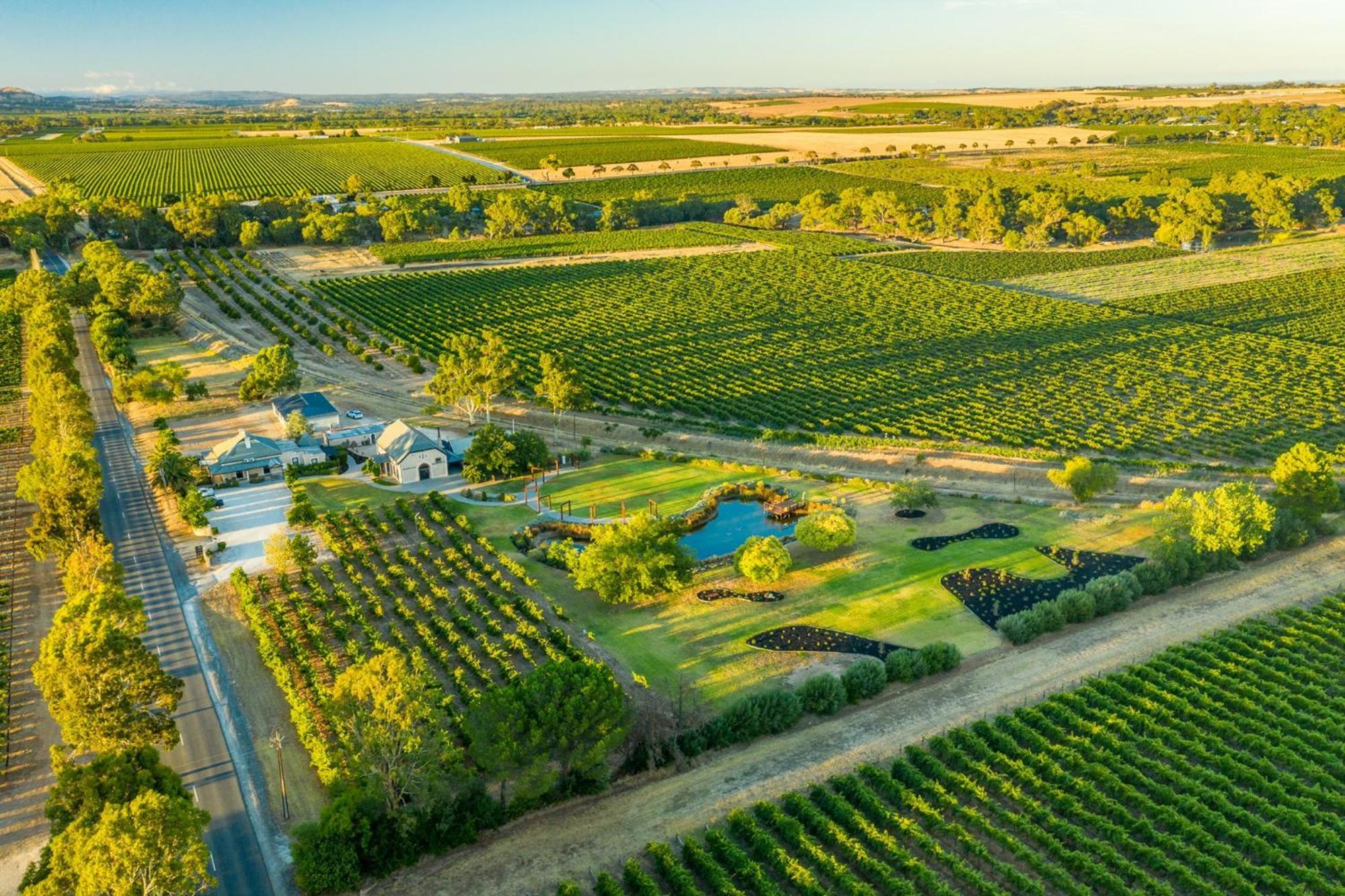 Lanzerac Country Estate Tanunda Exterior foto
