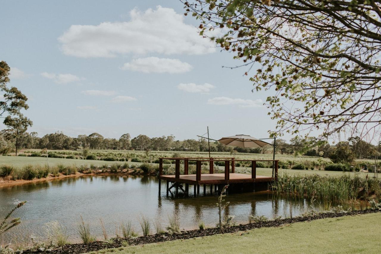 Lanzerac Country Estate Tanunda Exterior foto